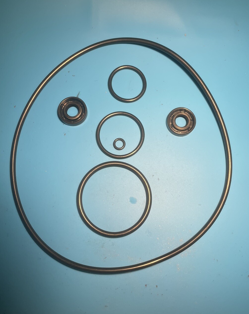 O-RING SEAL KIT MAYTRONICS Dolphin Robotic Pool Cleaner Motor Unit 9995395-EX