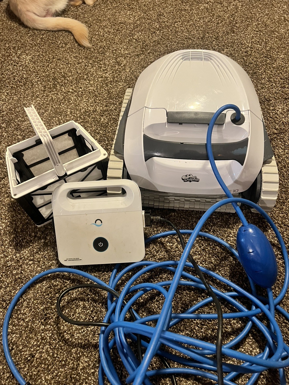 Dolphin E10 Automatic Robotic Pool Vacuum Cleaner, Active Scrubber Brush,