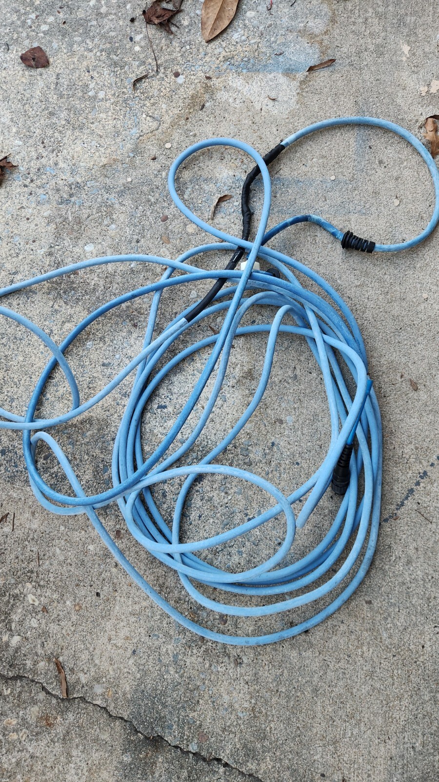 Genuine Dolphin Replacement Cable for Agile Robot Movement – 40ft Blue Cord