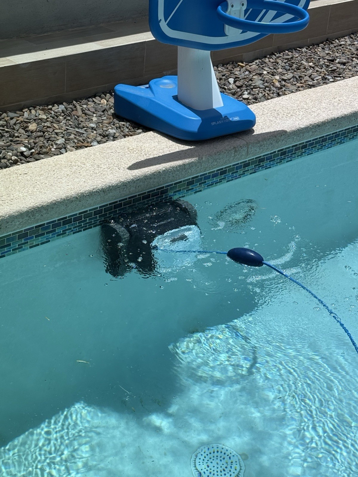 Dolphin Explorer E20 Robotic Pool Cleaner Tested Works Great Maytronics