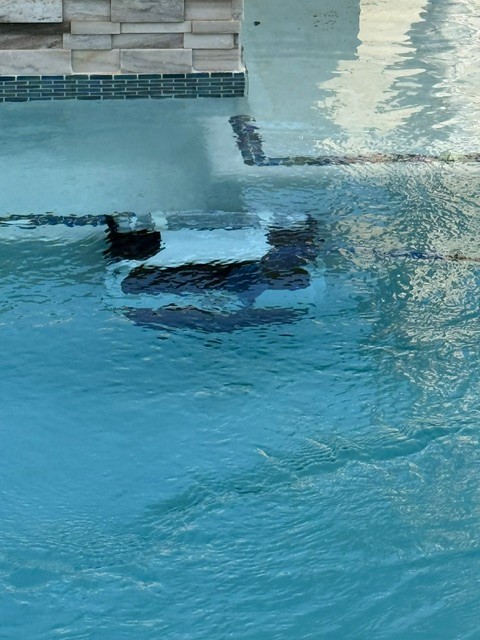 Dolphin Explorer E25 WiFi Robotic Pool Cleaner Wall Climbing