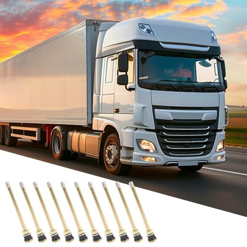 20 Pcs 5in Clamp in Truck Valve Stems, Truck Tire Valve Stems Straight Truck