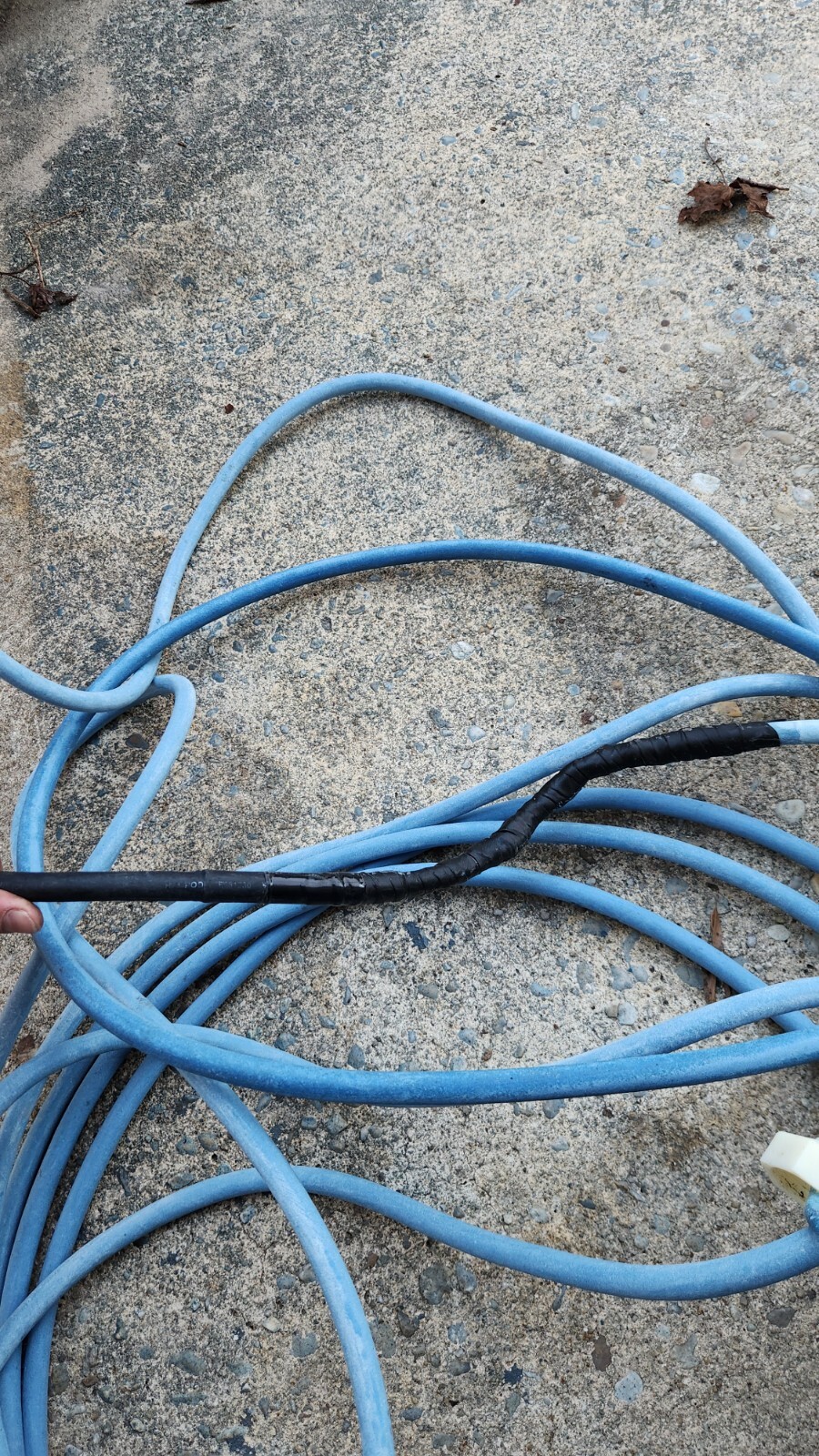 Genuine Dolphin Replacement Cable for Agile Robot Movement – 40ft Blue Cord